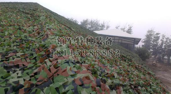 伪装网